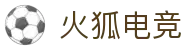 火狐电竞 - 助你从观赛到懂赛的进阶指南